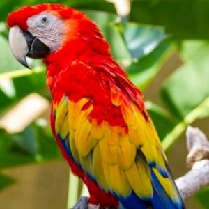 Meet your Posher, Lily